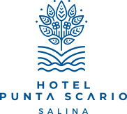 Logo Hotel Punta Scario